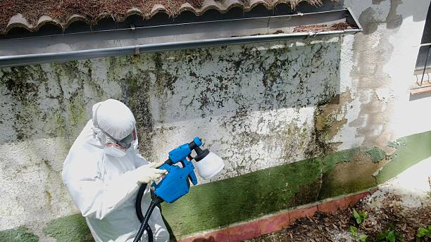 Top rated local Attic Mold Remediation specialists in Moyock, NC
